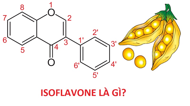 Isoflavone-la-gi