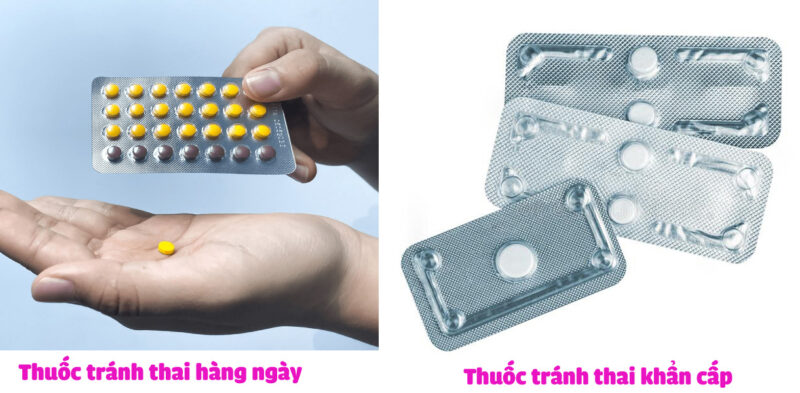 Thuốc tránh thai hàng ngày (bên trái) và khẩn cấp (bên phải)